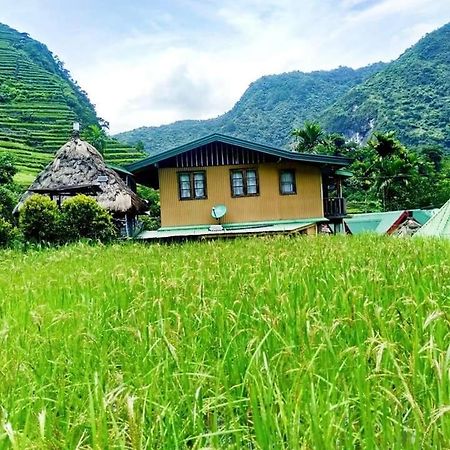 Batad Village Homestay & Restaurant Банауе Екстер'єр фото