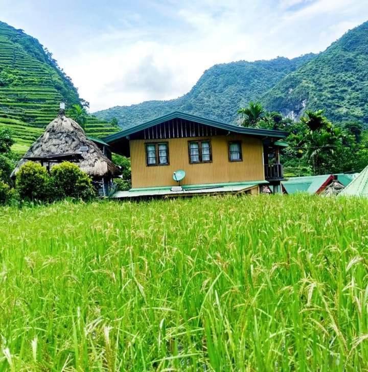 Batad Village Homestay & Restaurant Банауе Екстер'єр фото